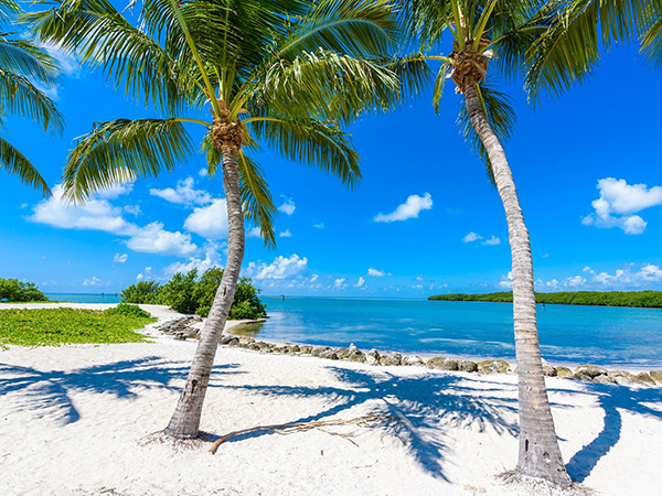 Una Vacanza studio al mare in Florida con escursione alle Keys