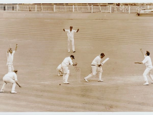 cricket evoluzione