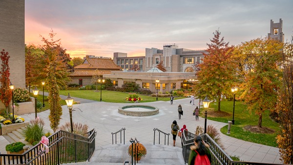 New York St. John University
