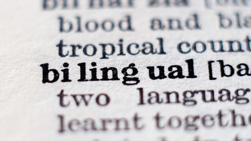 Bilinguismo,lingua