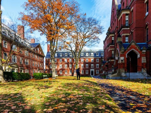 Harvard