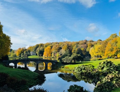 Cosa vedere nel Wiltshire durante una vacanza studio in Inghilterra