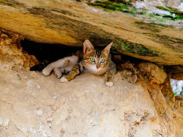 Oweynagat, la 'Caverna dei Gatti'