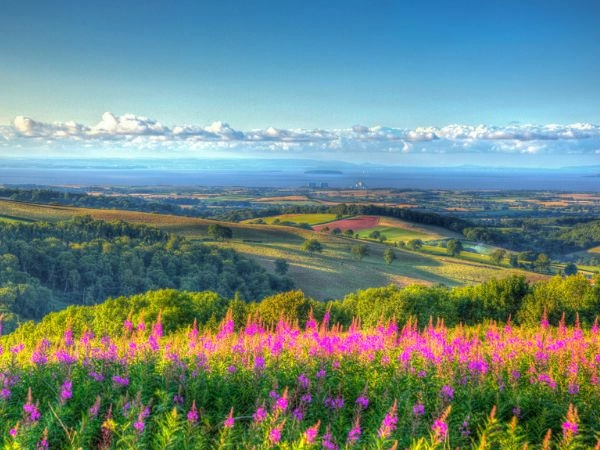 Quantock Hills