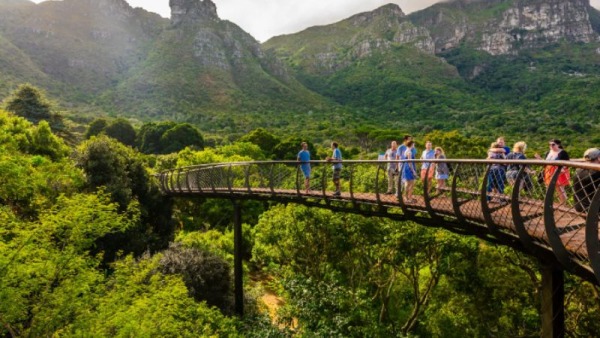 Kirstenbosch National Botanical Garden