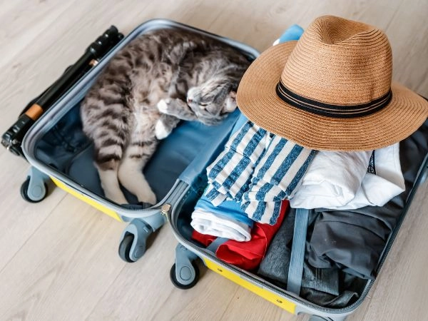 Cose mettere in valigia per la tua vacanza studio